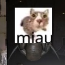 zeus1000-MiauMod2 icon