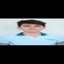 zivvva-denizsipansuit icon