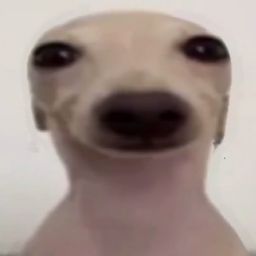 zoparapipa-los_2015 icon